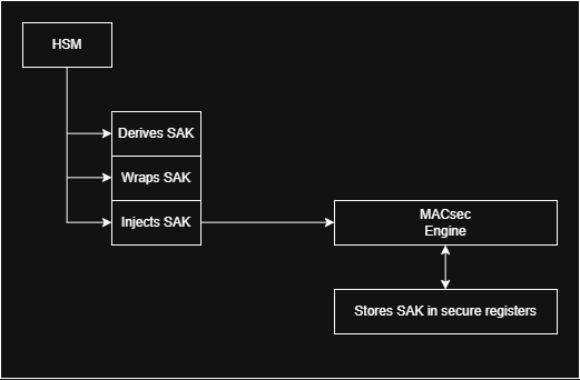 MACsec Engine and Key Hierarchy | Dexter’s Laboratory